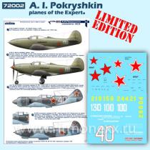 A. I. Pokryshkin - planes of the Expert