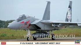 F-15J Eagle Air Combat Meet 2013