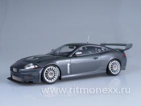 Jaguar XKR GT3 - grey metallic 2008