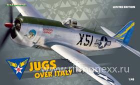 Jugs over Italy P-47D