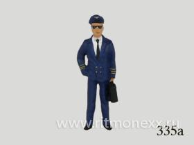 Пилот гражданской авиации (код 335a)