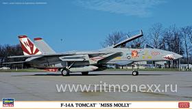 Самолет F-14A TOMCAT "MISS MOLLY"