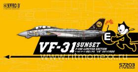 Самолёт US Navy F-14D VF-31 "Sunset"